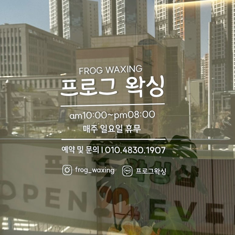 프로그왁싱 이미지