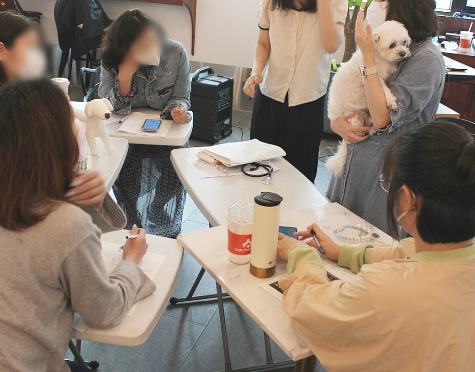 반려견 유치원 비용, 커리큘럼 및 입소 절차 완벽 가이드 — 사진 9