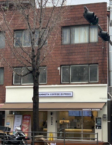 매머드 전자 이미지