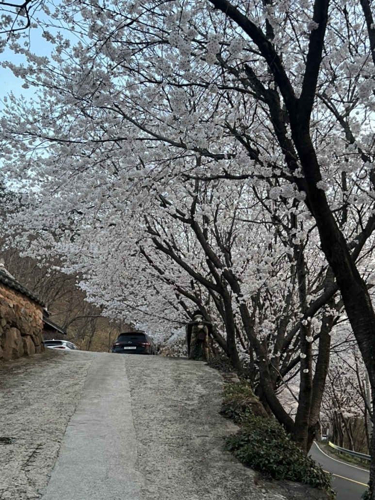 아원산방 이미지