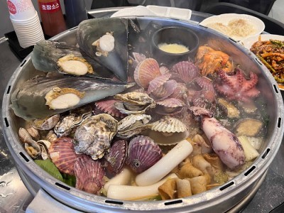 갯벌의조개 이미지