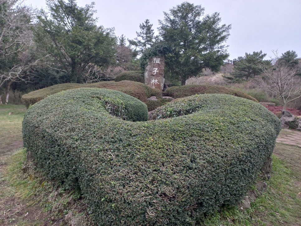 성산렌트카주 이미지
