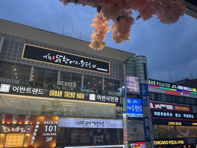 술마실고양 이미지