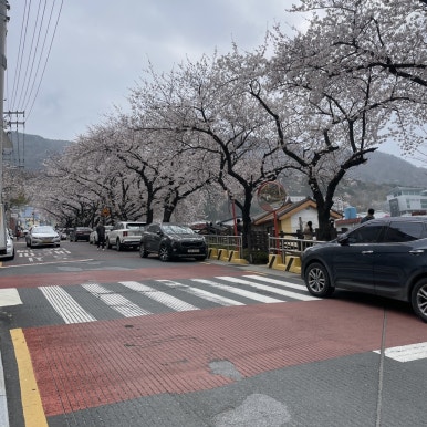 한영슈퍼마켓 이미지