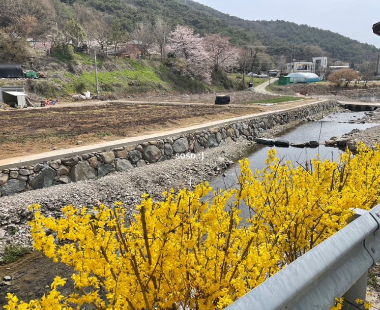 참숯불에꾸운닭앤꿈장어 이미지