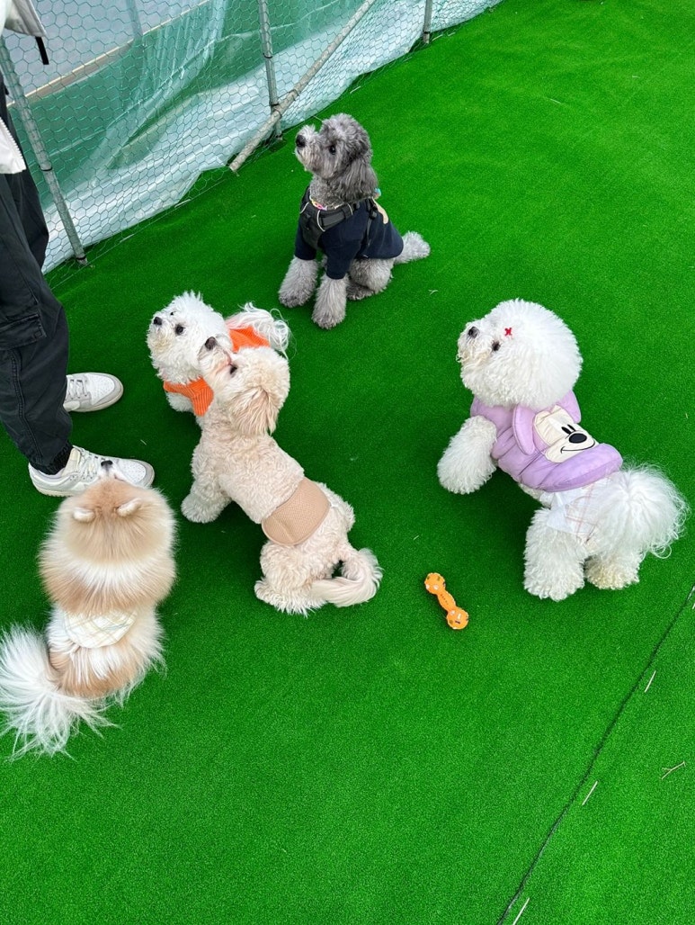 애원카페 이미지