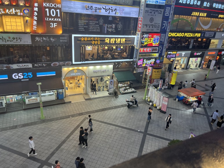 술마실고양 이미지