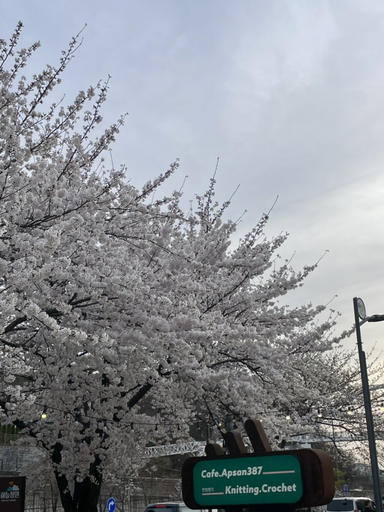 앞산387 이미지