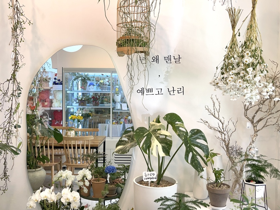 명진드라이 이미지