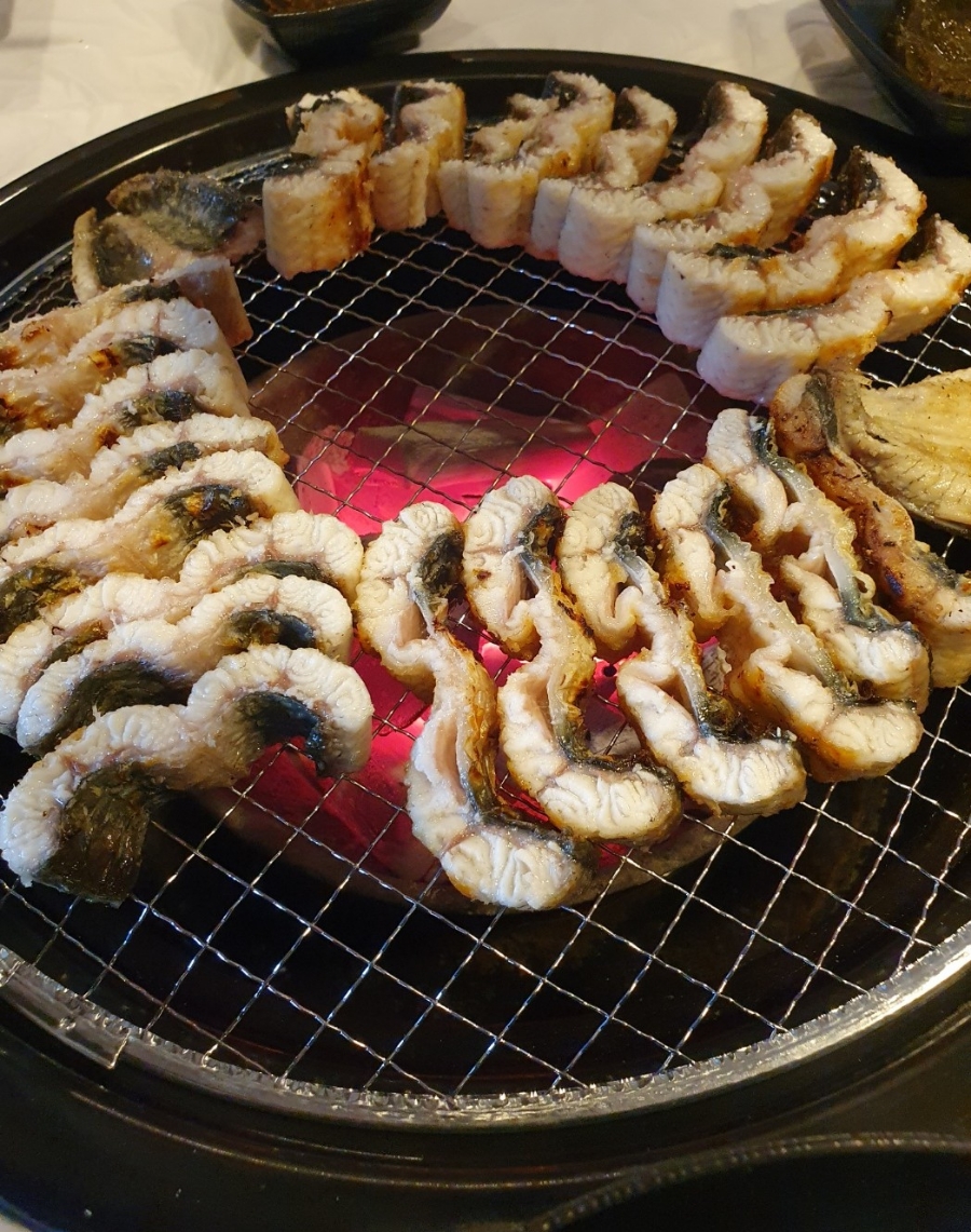 당나귀풍천장어 이미지