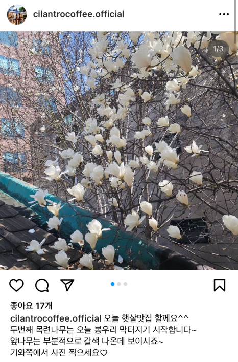실란트로(주) 이미지