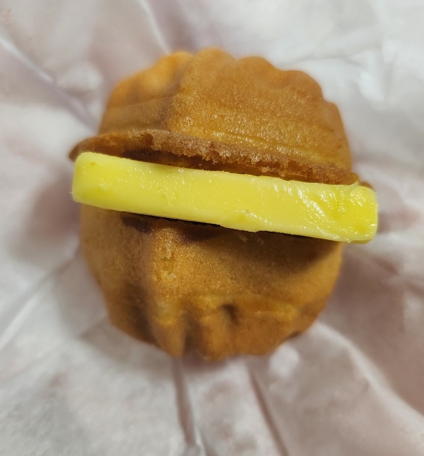 사르르호두 이미지