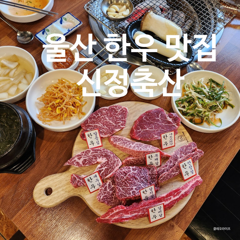 신정초장 이미지