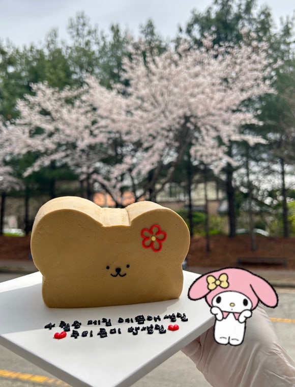 폼포코린 이미지