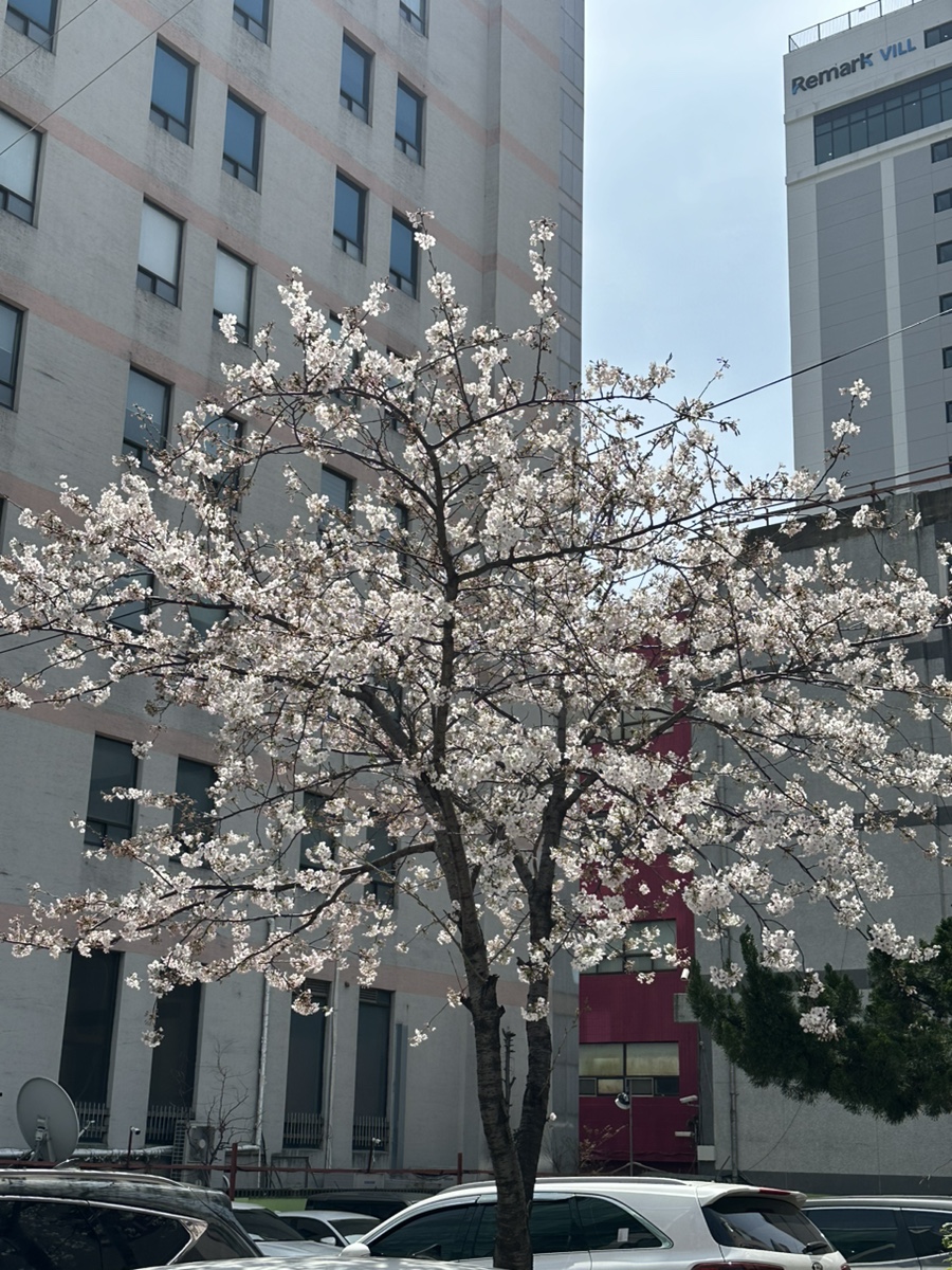 햇살복권판매점 이미지