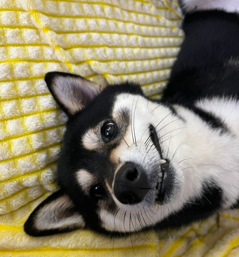 영미수산 이미지