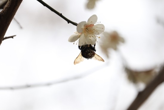 꽃을;보다 이미지