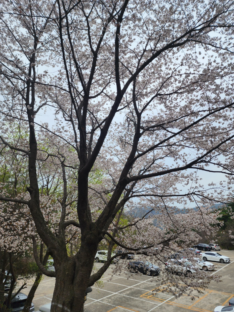 새김해칼국수 이미지