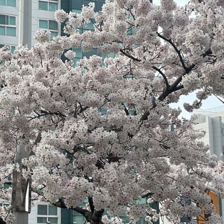 뚜레쥬르송정점 이미지