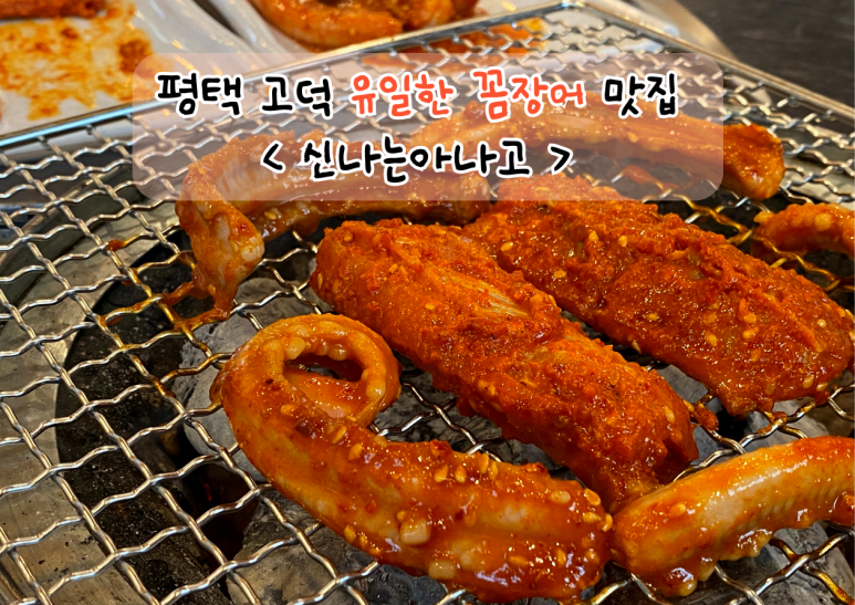 신나는아나고 이미지