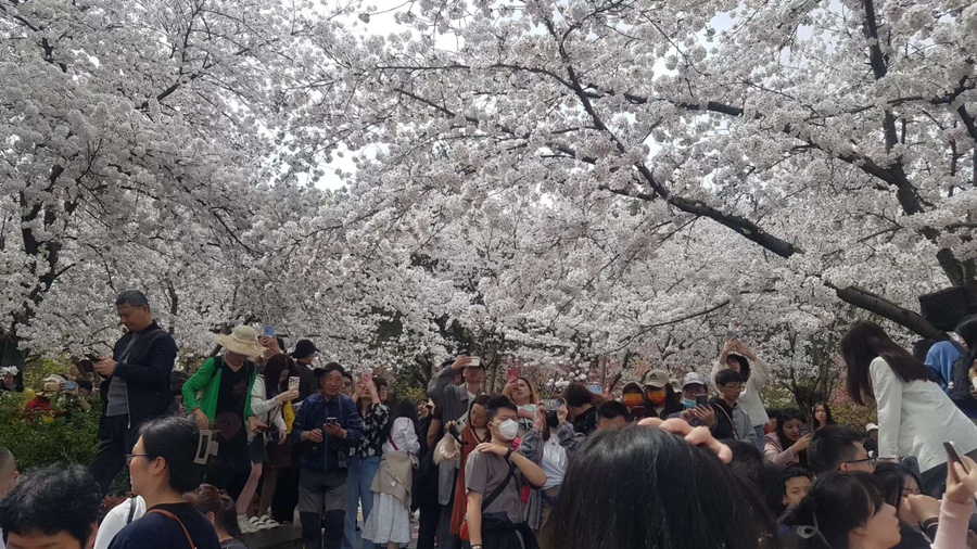 에슬로우도산대로점 이미지