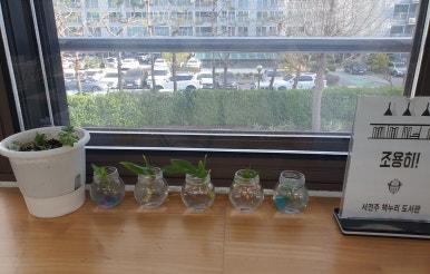 서전주중학교 이미지