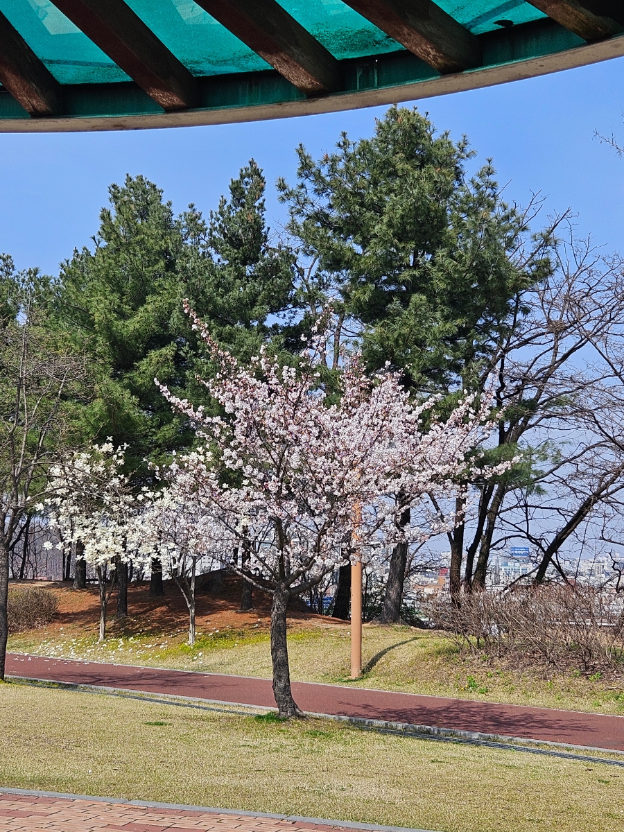 선진프린트 이미지