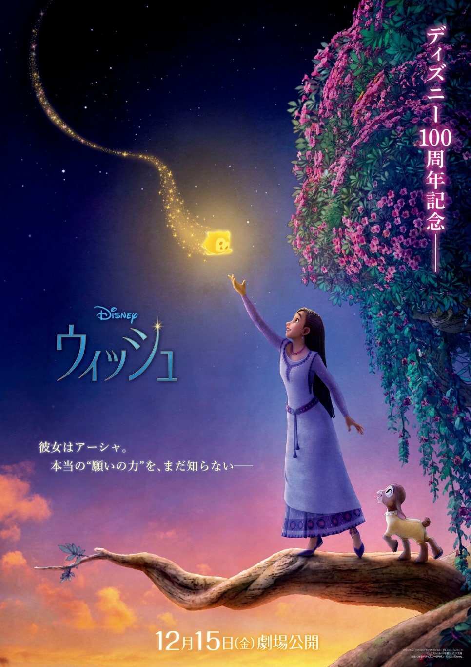 위시(WISH) 이미지