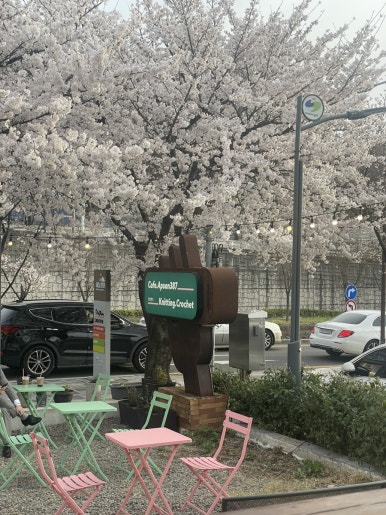 앞산387 이미지