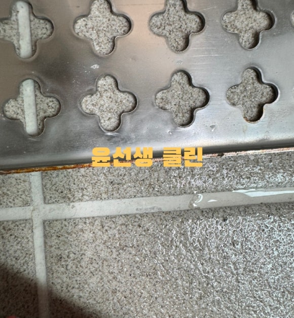 윤선생클린 이미지
