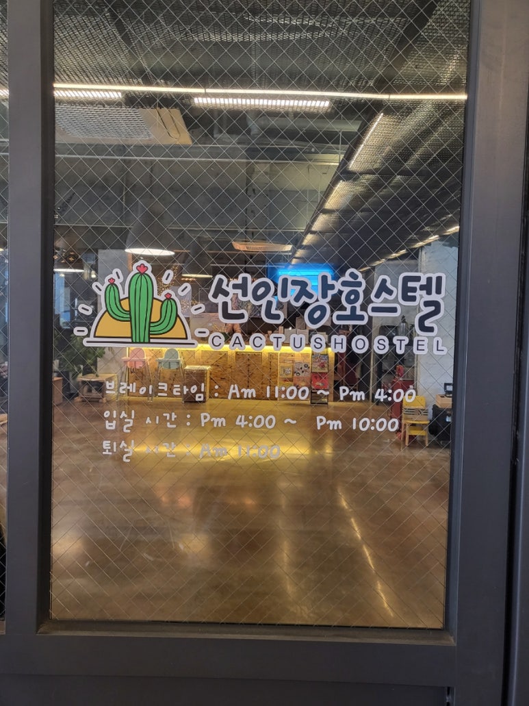오케이선인장 이미지