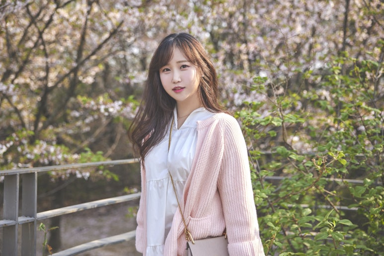 솔레르륀 이미지