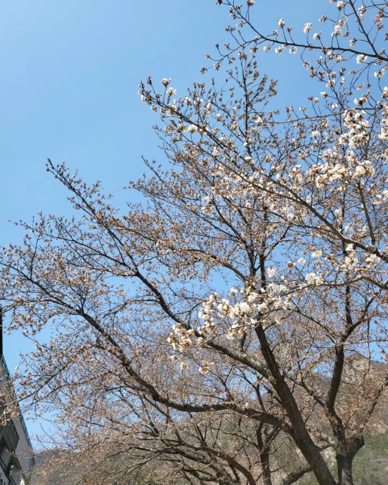 카페더파머스 이미지