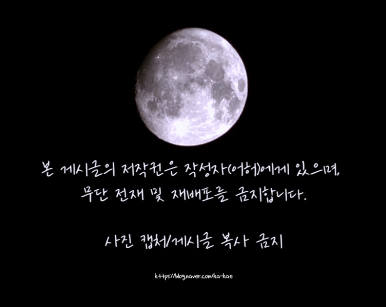 원흥역황소곱창 이미지