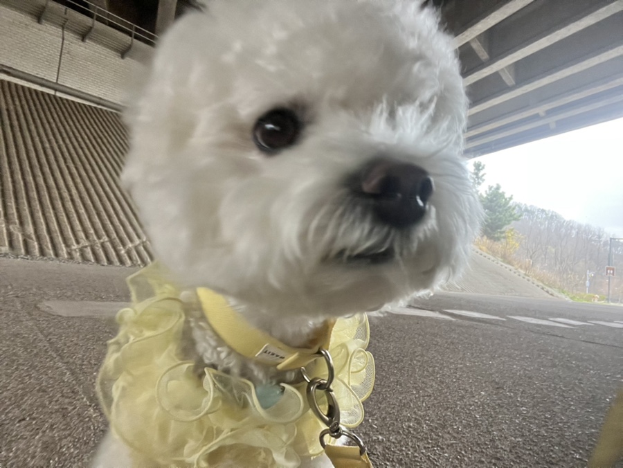 요커광교숲속 이미지