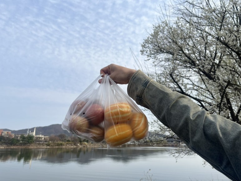 젤라떼리아빤나 이미지