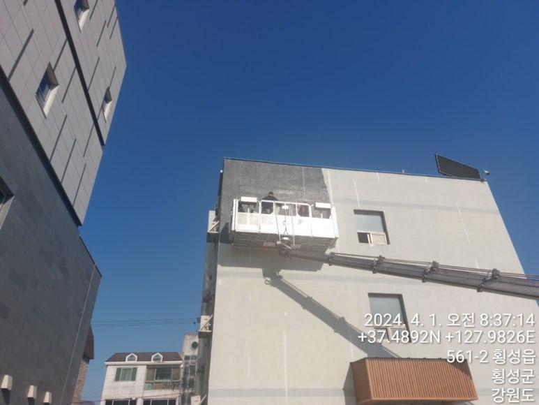 그린장 이미지