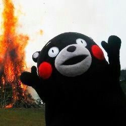 란 사진 6