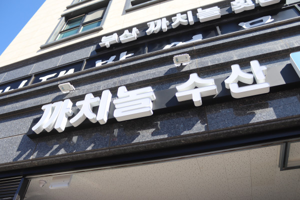 부산까치놀 이미지