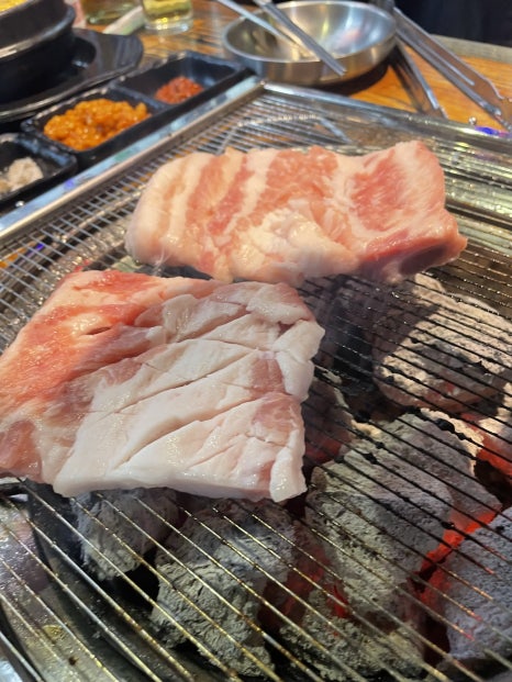 식껍 이미지