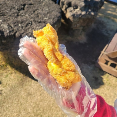 꽈배기정 이미지