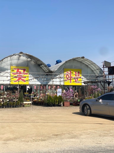 늘푸른화훼공판장 이미지