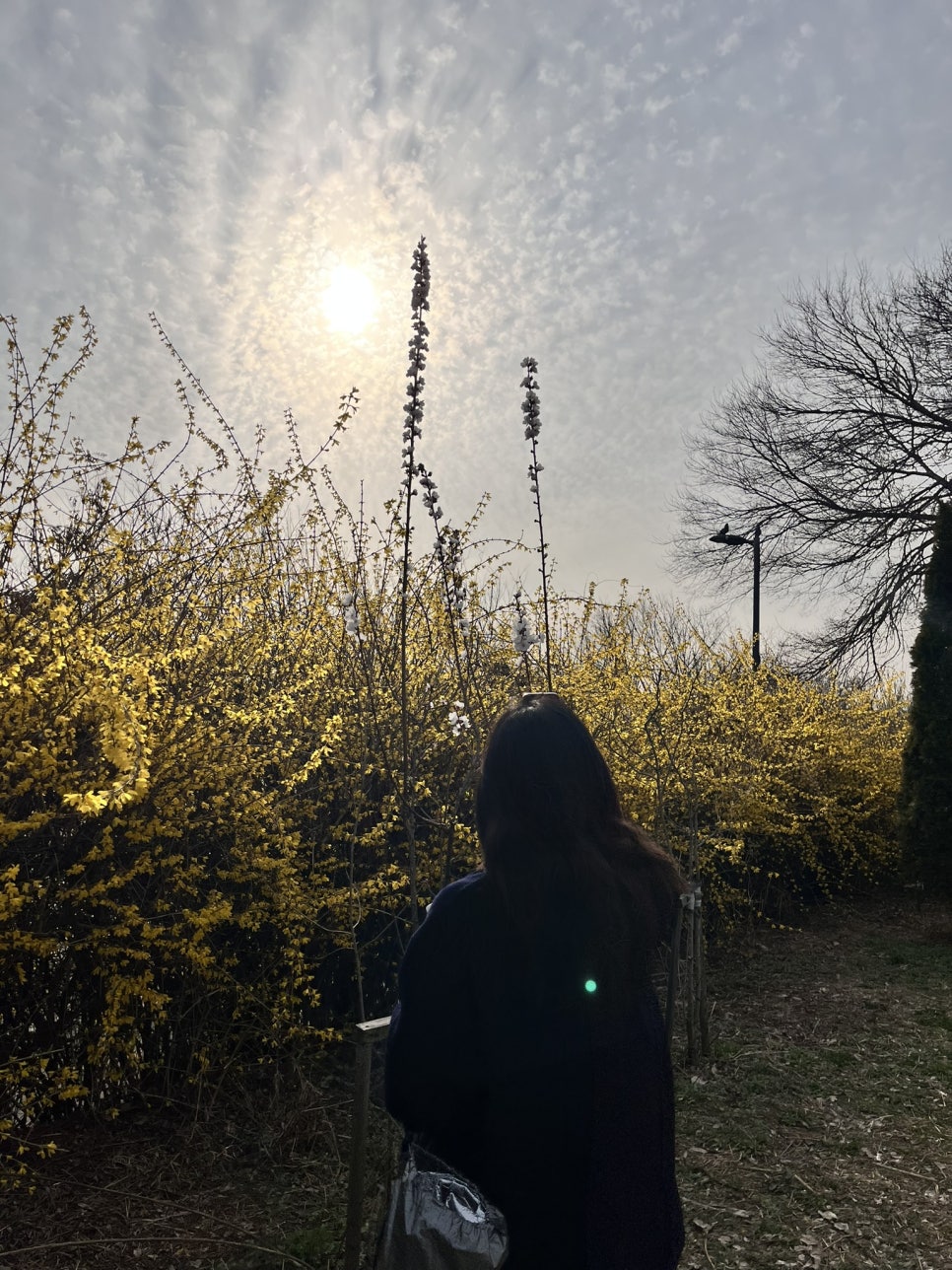 포도리성수 이미지