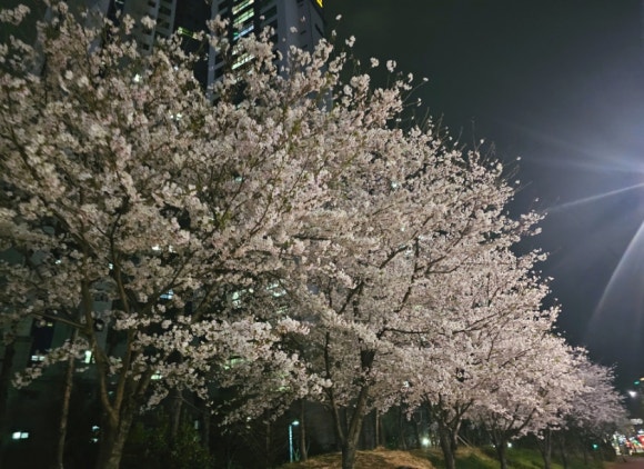 삼산회관양산증산역점 이미지