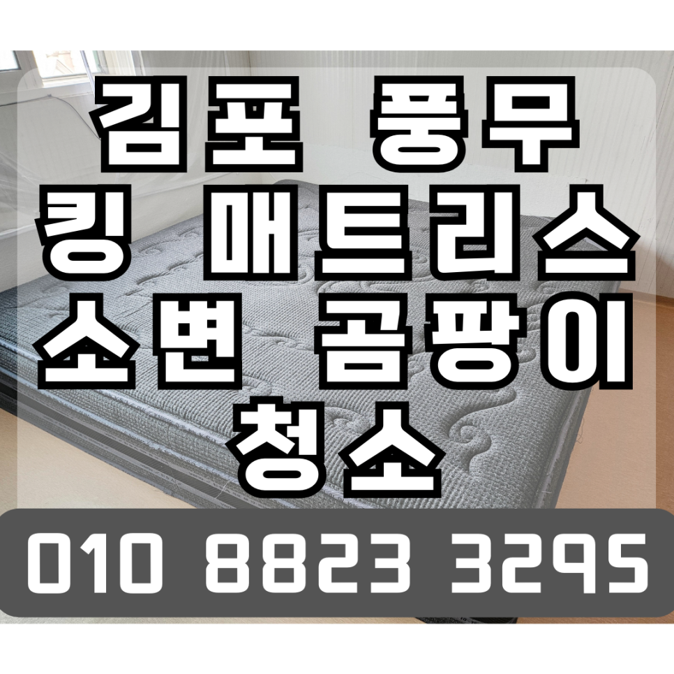 쇼파매트리스카페트청소화이트클린 이미지