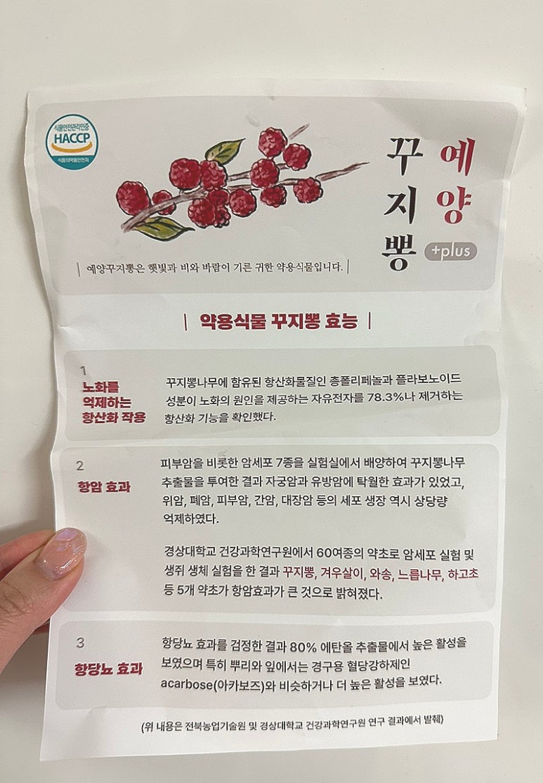 예양꾸지뽕 이미지