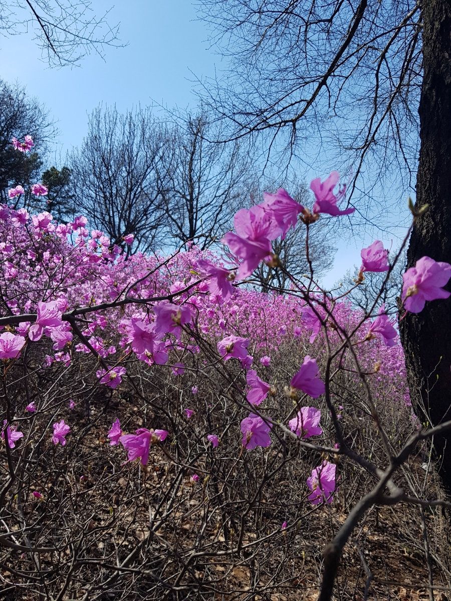 현피아노 이미지