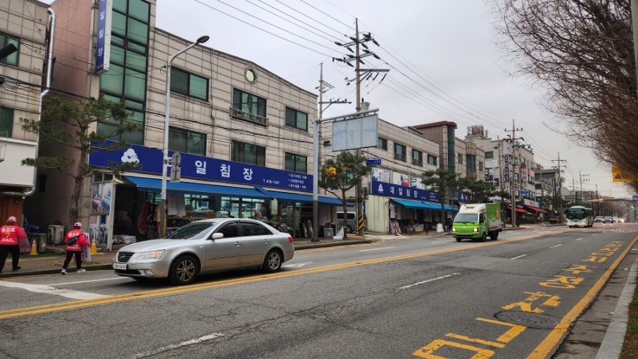대일침장 이미지