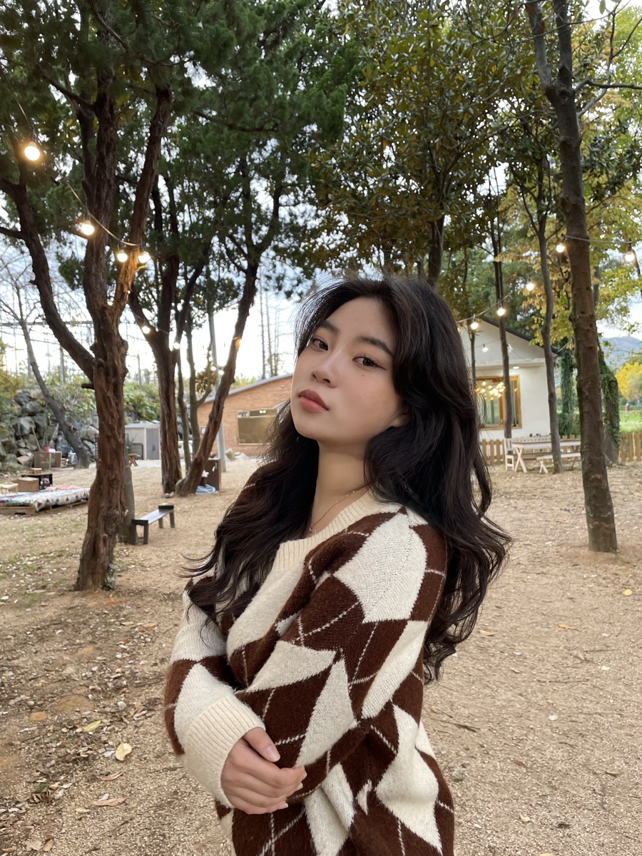 디페드 이미지