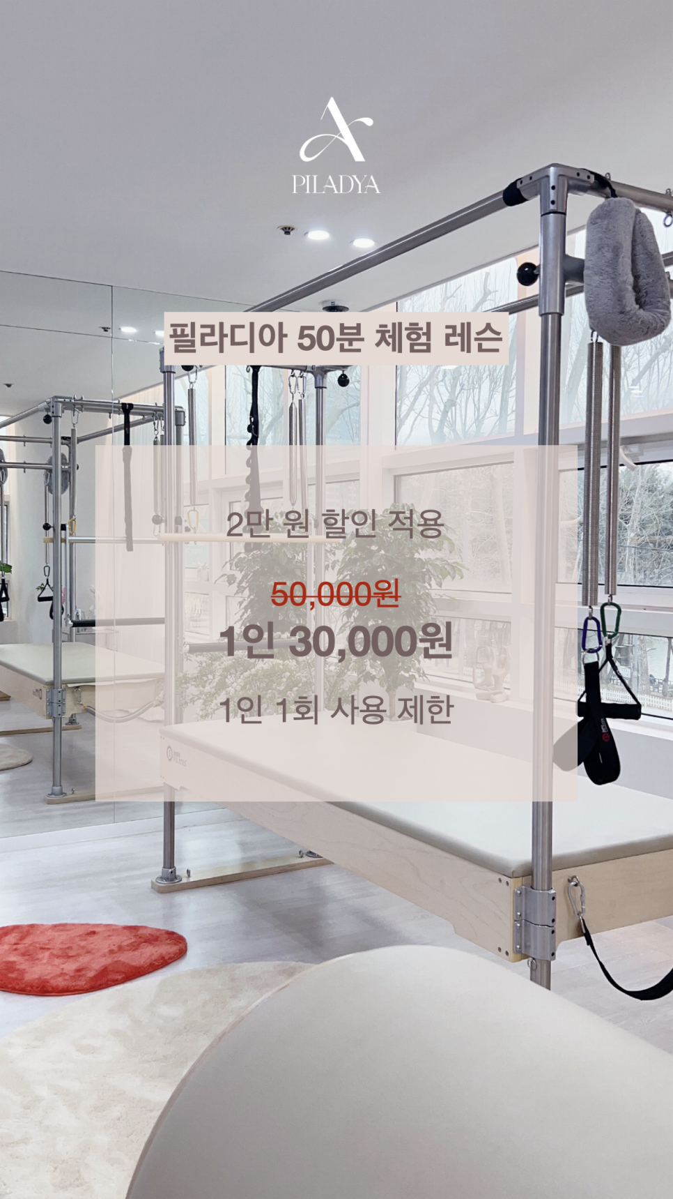 필라디아 이미지